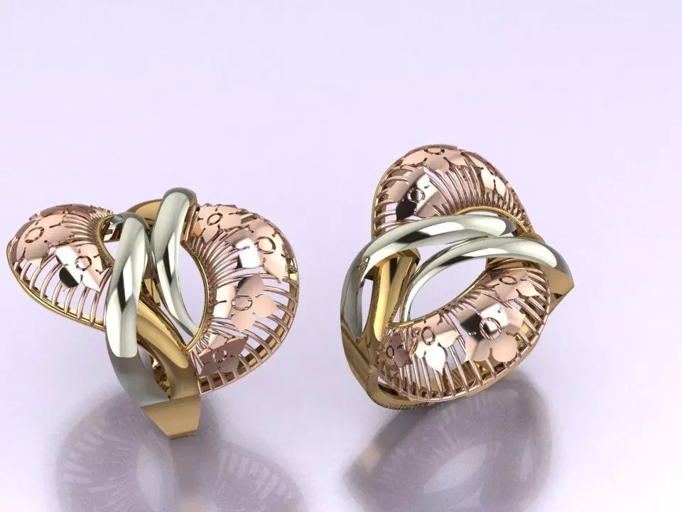 ring no 18 3D print model_0