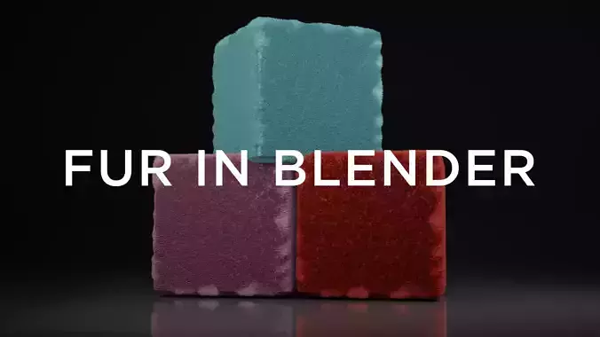 Fur in Blender 3D model