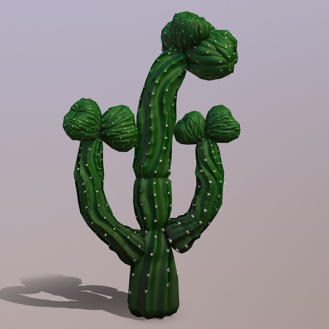 Procedural Cactus PBr Low-poly 3D model_3