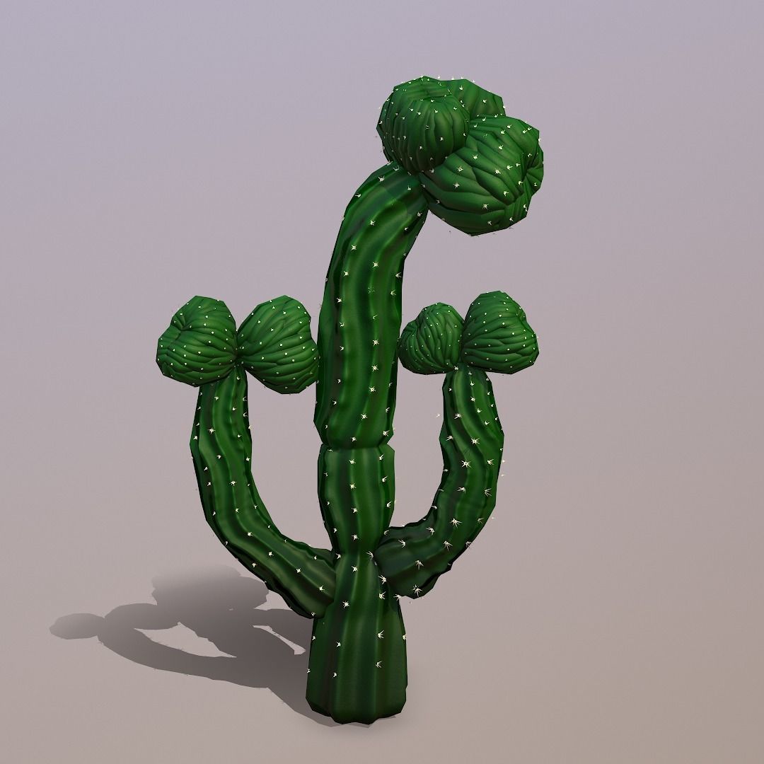 Procedural Cactus PBr Low-poly 3D model_2