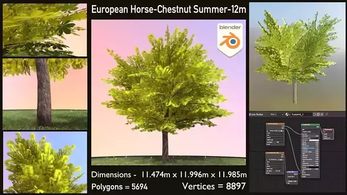 European Horse Chestnut Summer 12m  Low-poly 3D model