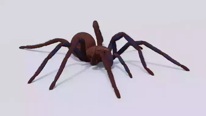 Rigged Spider walk cycle