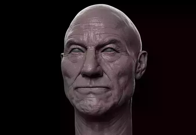 Old Patrick Stewart Head 3D print model