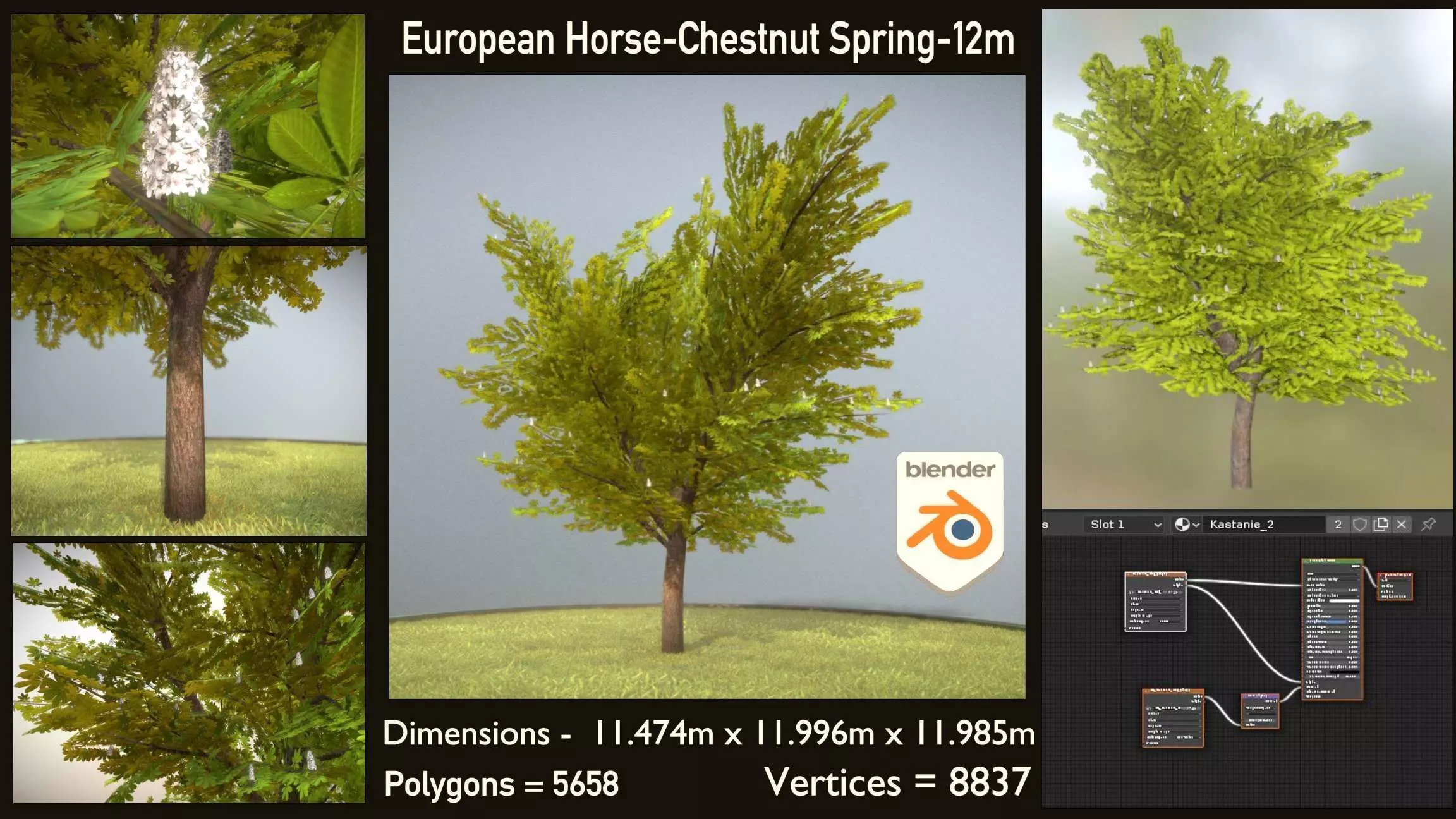 European Horse Chestnut Spring 12m Low-poly 3D model
