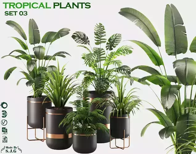 indoor plants collection of tropical plants set 03