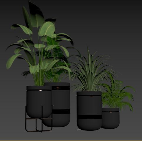 indoor plants collection of tropical plants set 03 3D model | CGTrader