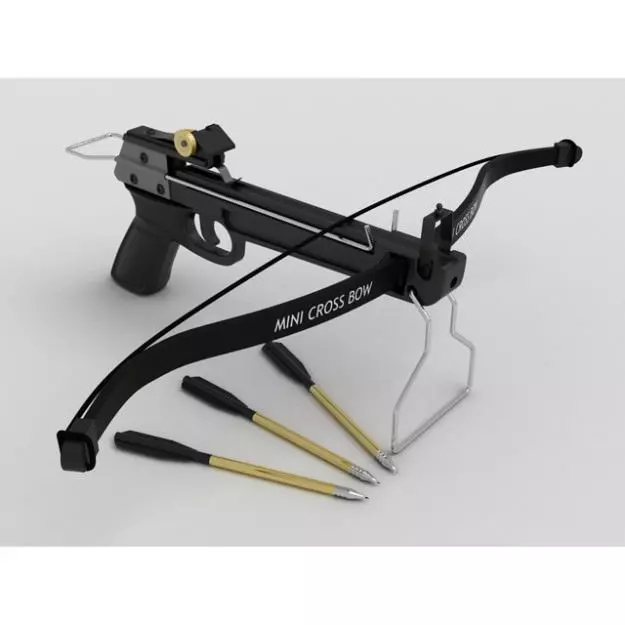 Crossbow bow and arrow with gun 3D model_0