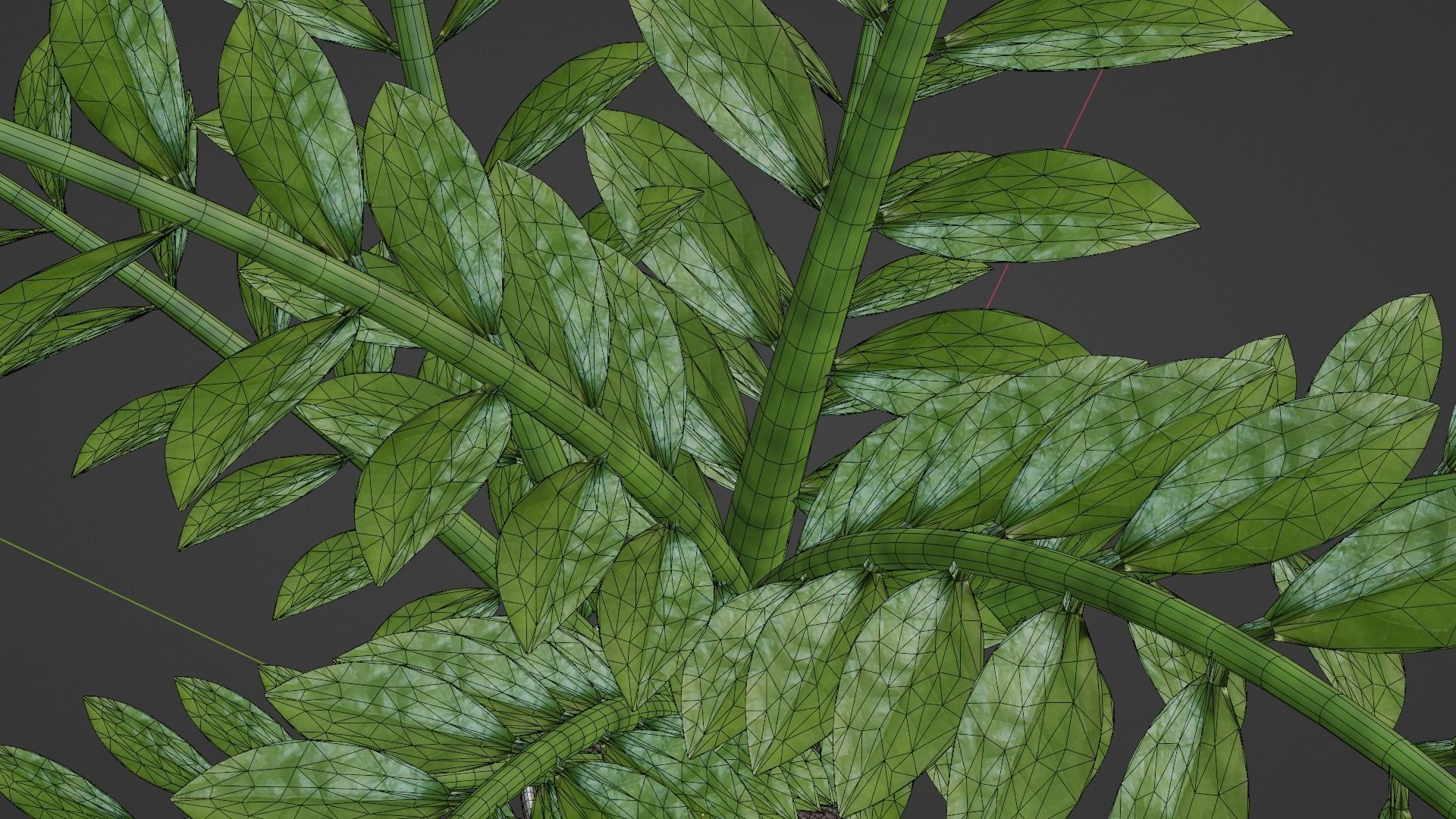 ZZ Plant Low-poly 3D model_7