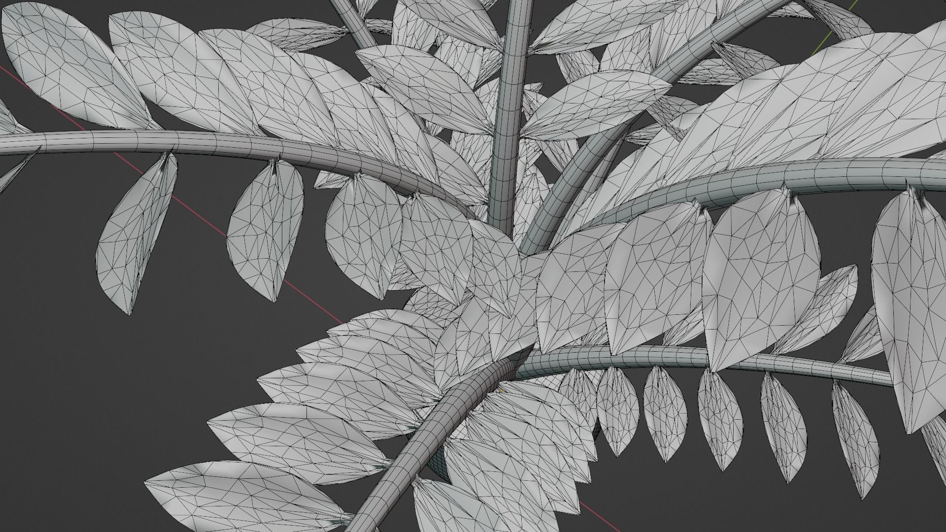 ZZ Plant Low-poly 3D model_8