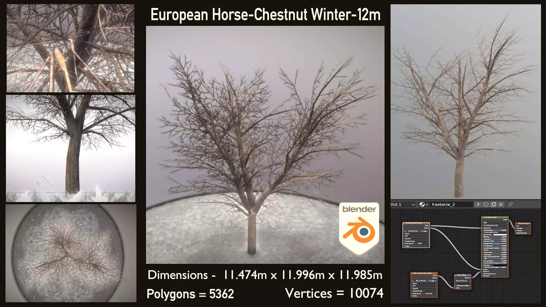 European Horse Chestnut Winter 12m Low-poly 3D model
