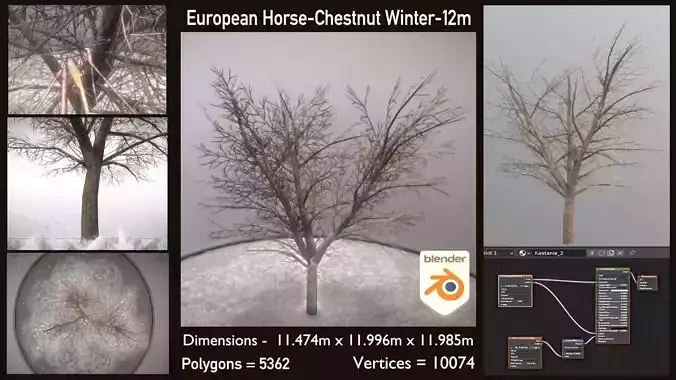 European Horse Chestnut Winter 12m  Low-poly 3D model
