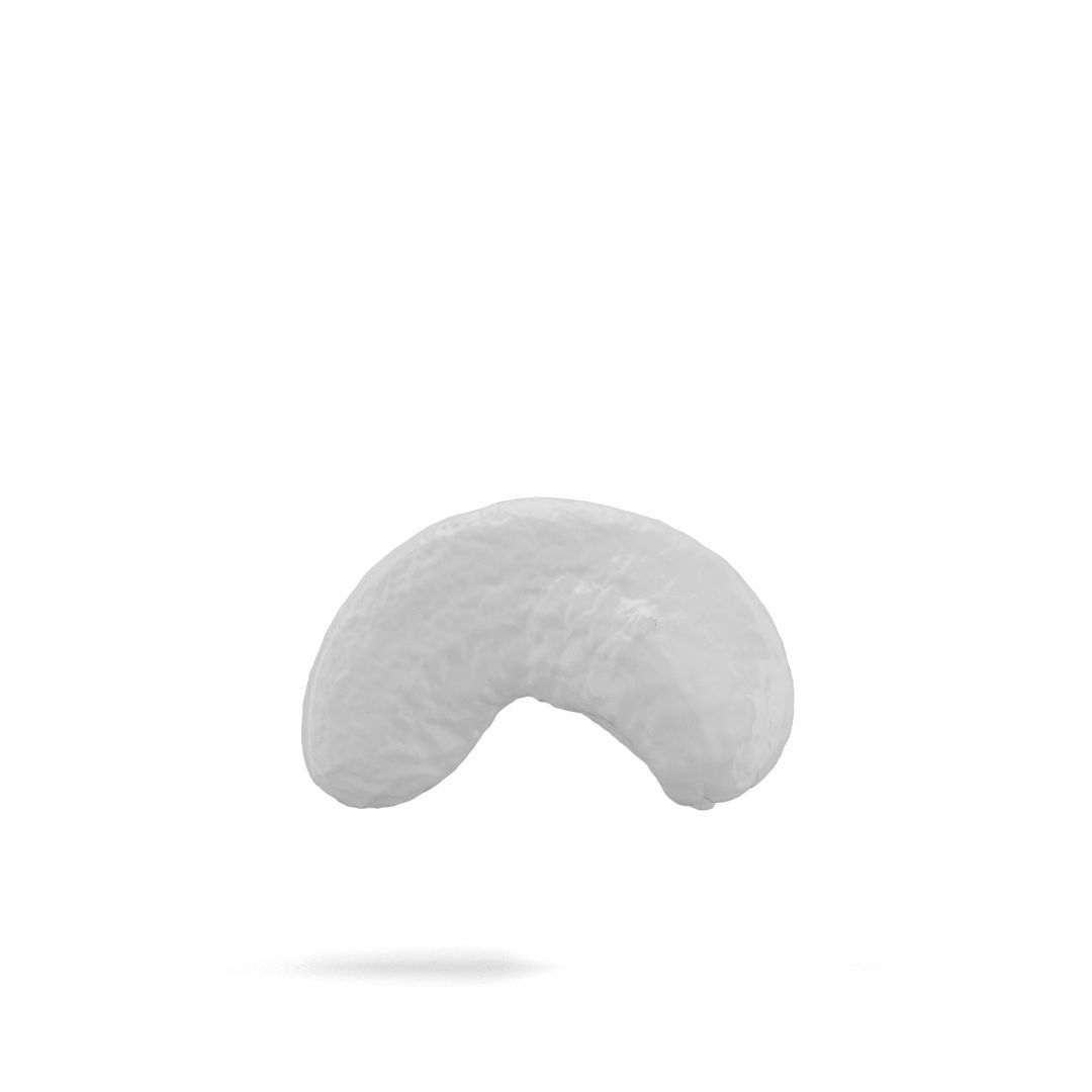 Cashew Caju Nuts 3D Model 3D model_16