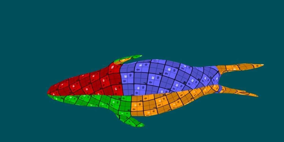 Harp Seal Low-poly 3D model_5