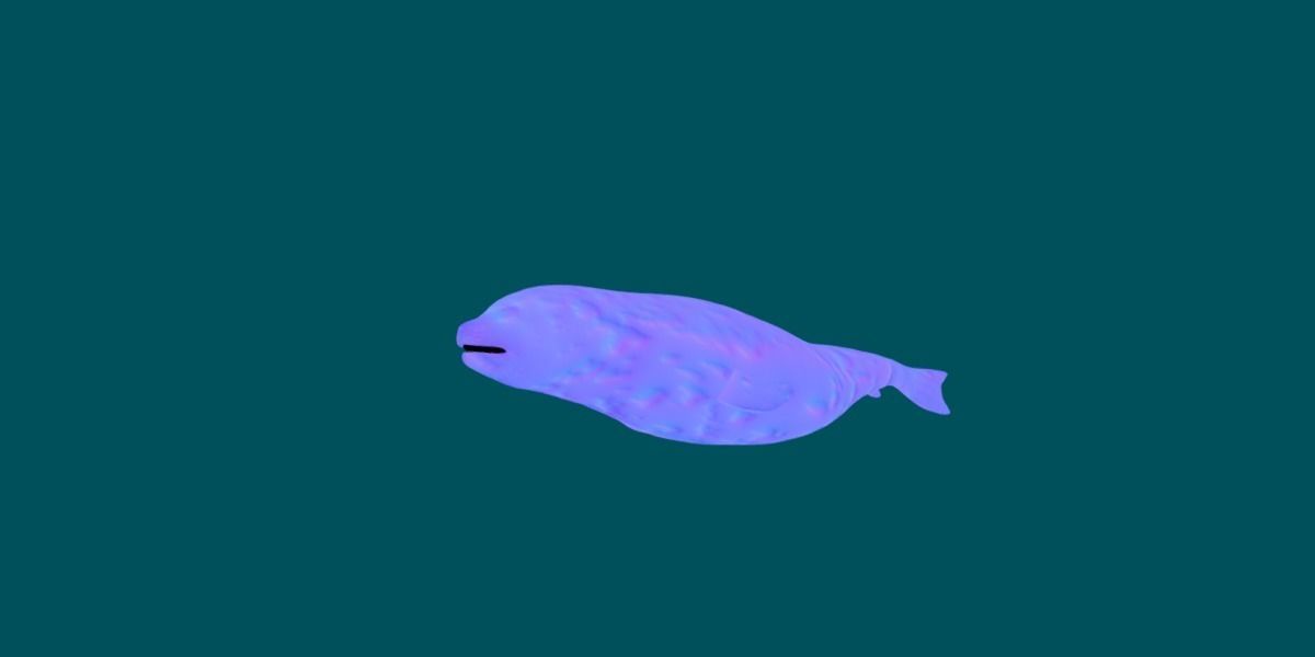 Harp Seal Low-poly 3D model_11