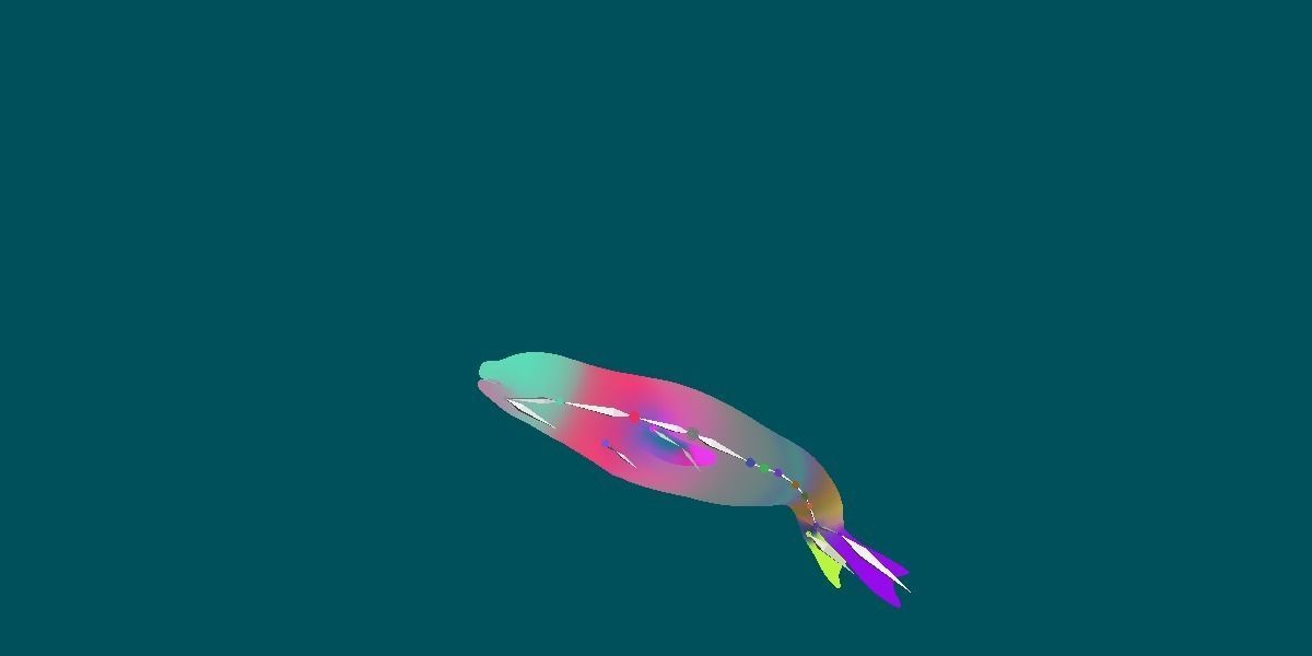 Harp Seal Low-poly 3D model_6