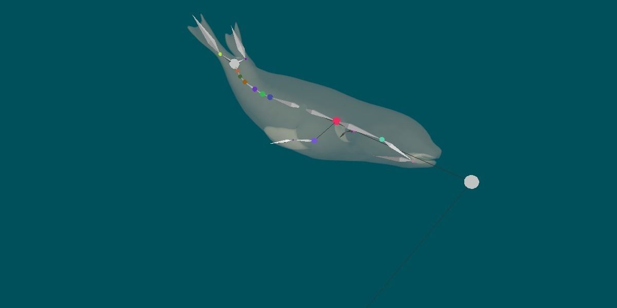 Harp Seal Low-poly 3D model_2