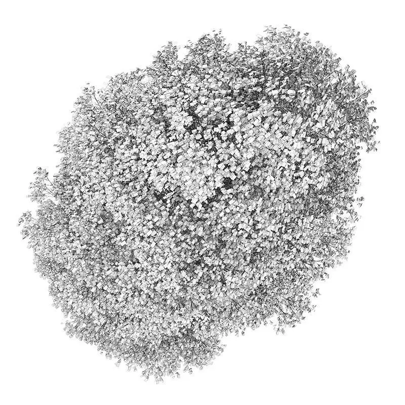 Small-leaved Lime 1 Tilia cordata 44815 3D model_0