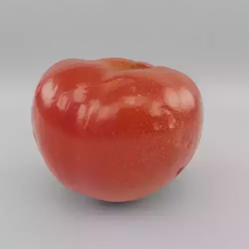 natural tomato with little scars and damage - photoscan