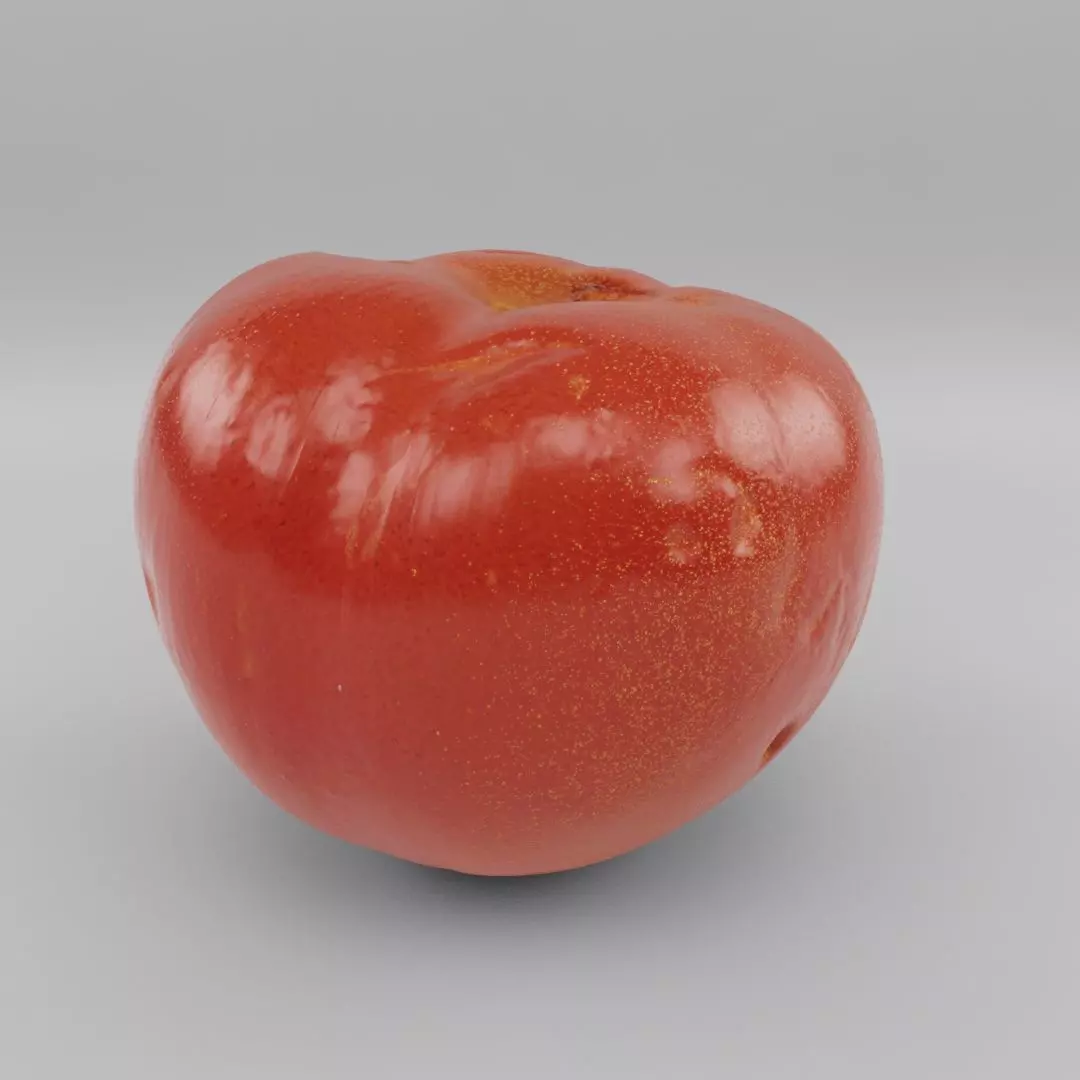 natural tomato with little scars and damage - photoscan Low-poly 3D model_0