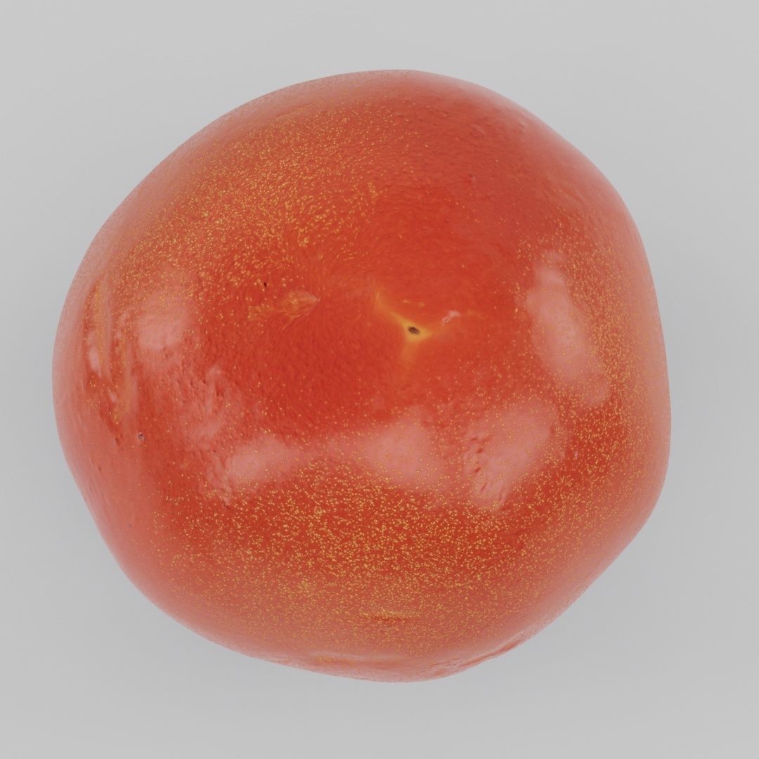 natural tomato with little scars and damage - photoscan Low-poly 3D model_6