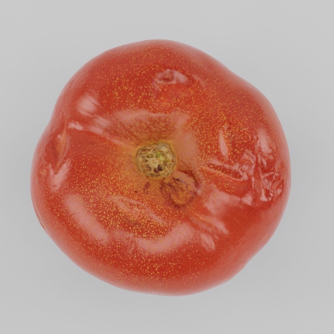 natural tomato with little scars and damage - photoscan Low-poly 3D model_5