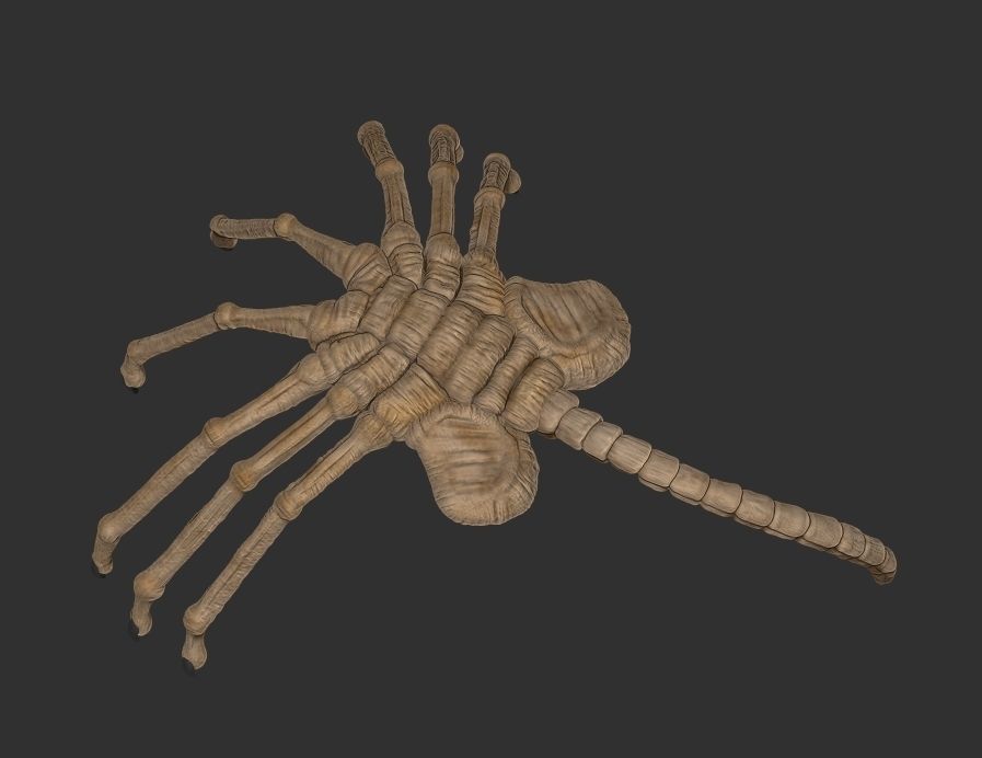 alien face hugger 3d print 3D model 3D printable CGTrader