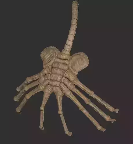 alien face hugger 3d print 3D print model