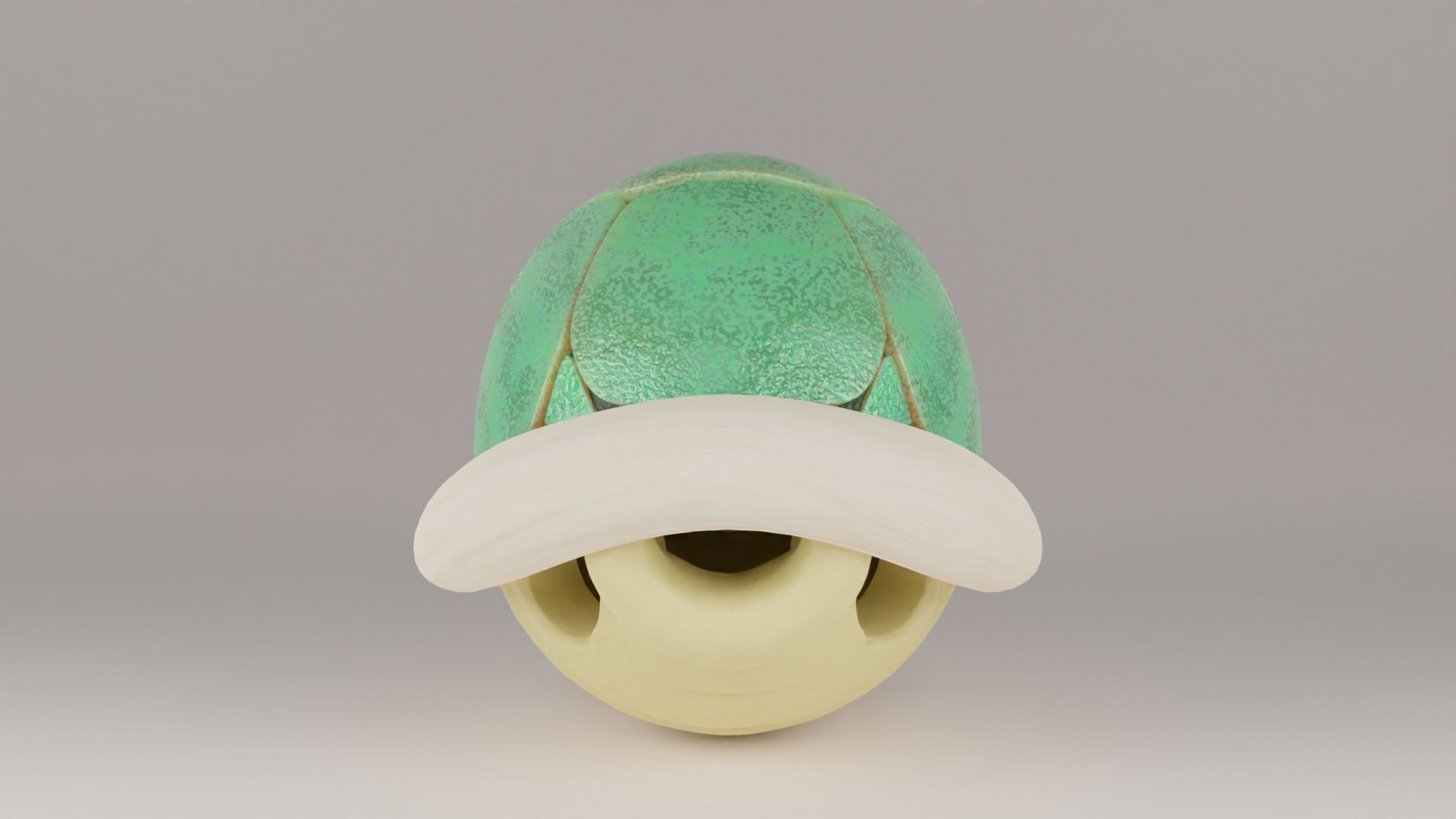 Shells and spiny shell 3D model | CGTrader