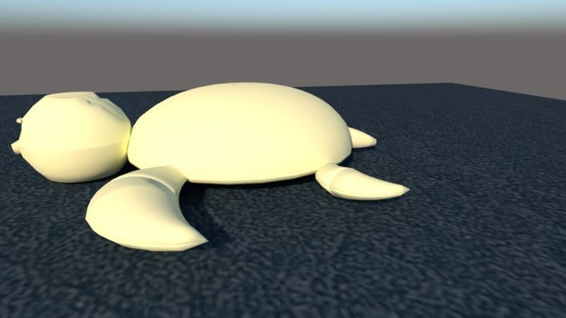 TORTUGA MARINA 3D model_4