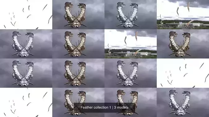 Feather collection 1 