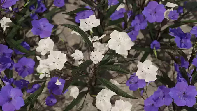 Ruellia Simplex or mexican petunia Low-poly 3D model
