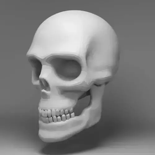 Skull Lowpoly