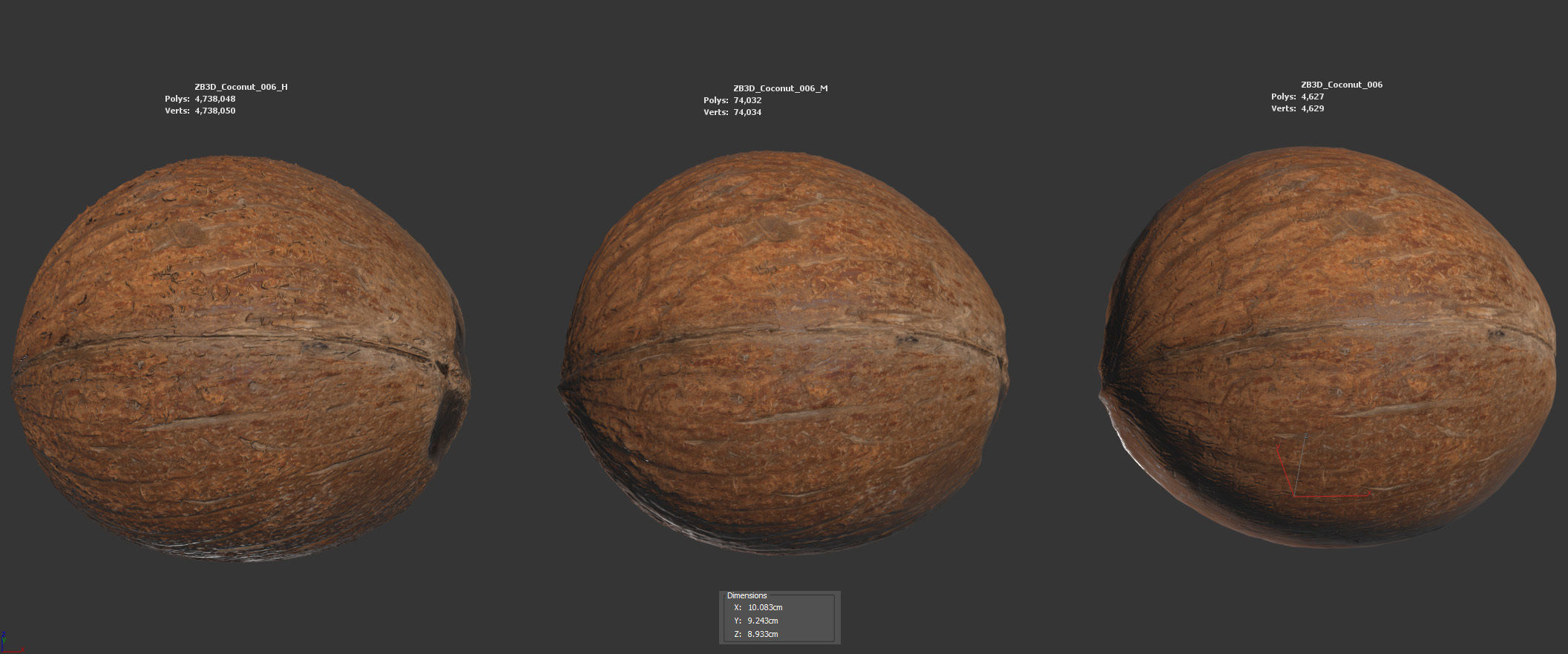 Coconut 3D model_5