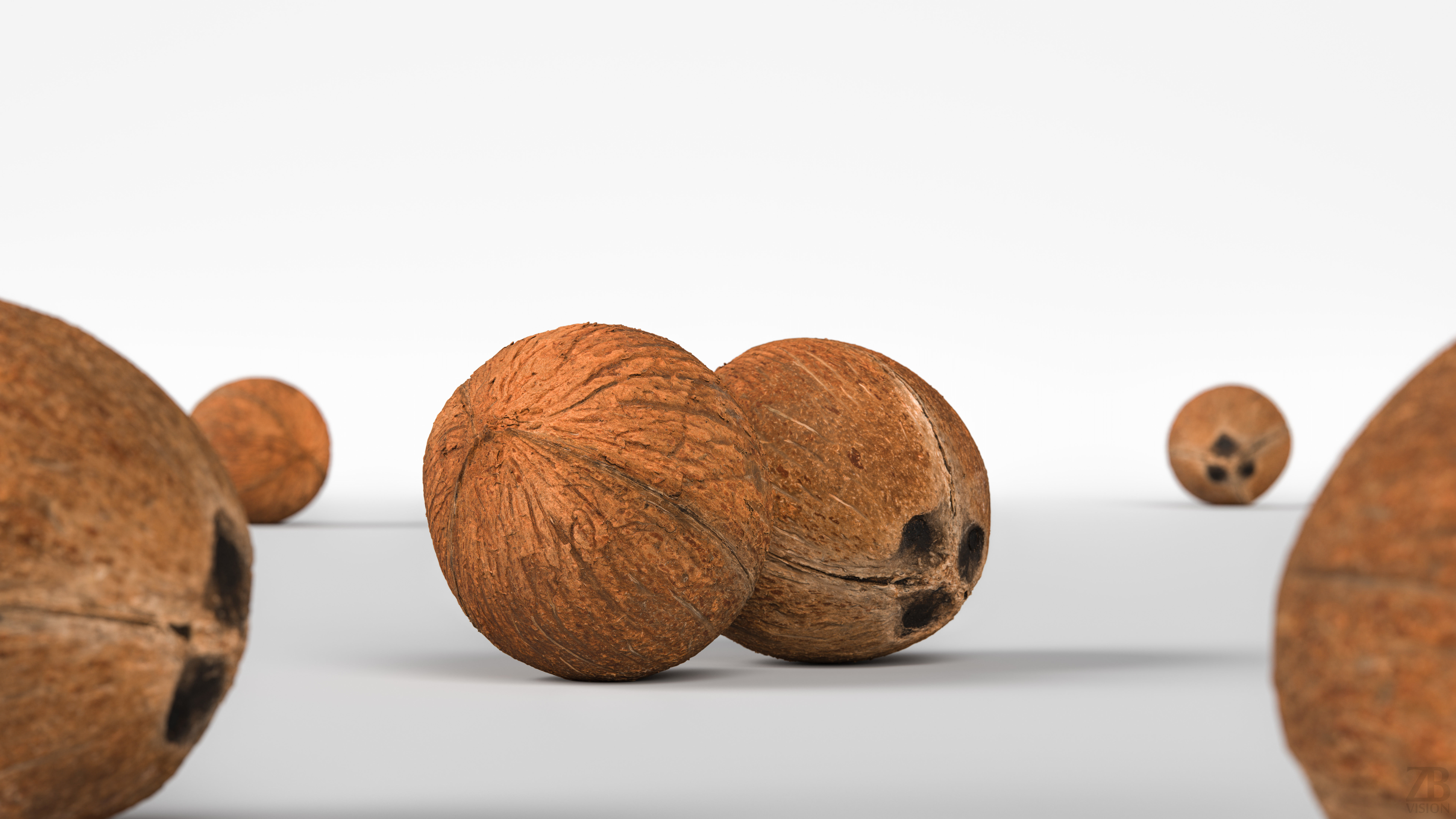 Coconut 3D model_1