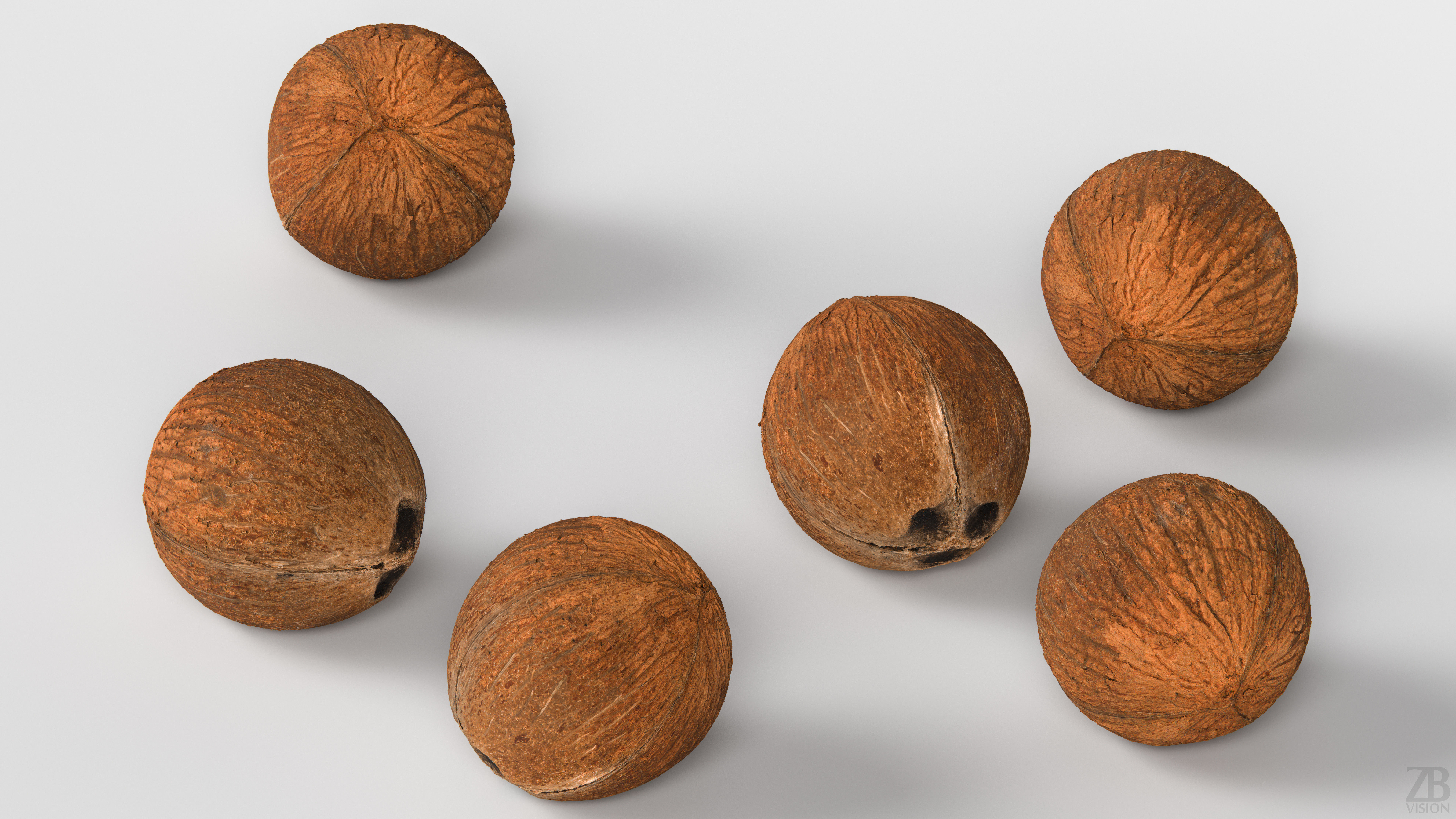 Coconut 3D model_2