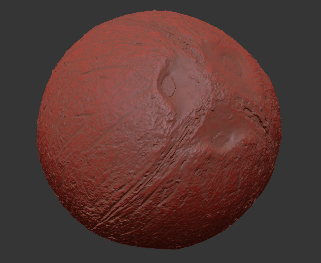 Coconut 3D model_7