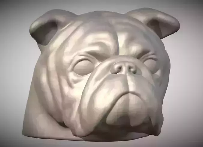 Puppy of English Bulldog dog head for 3D printing 3D print model