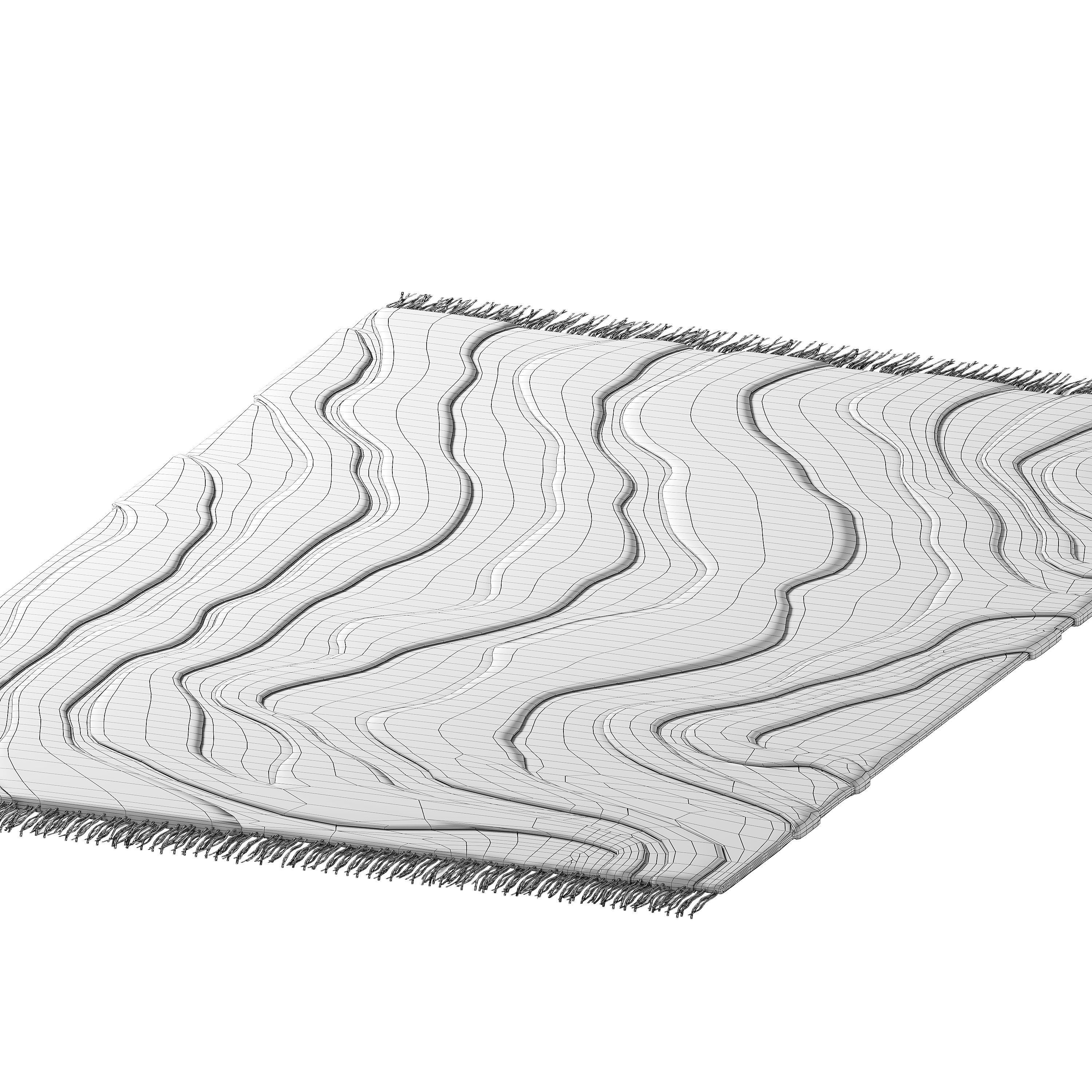Tufted Sierra Rug Low-poly 3D model_3