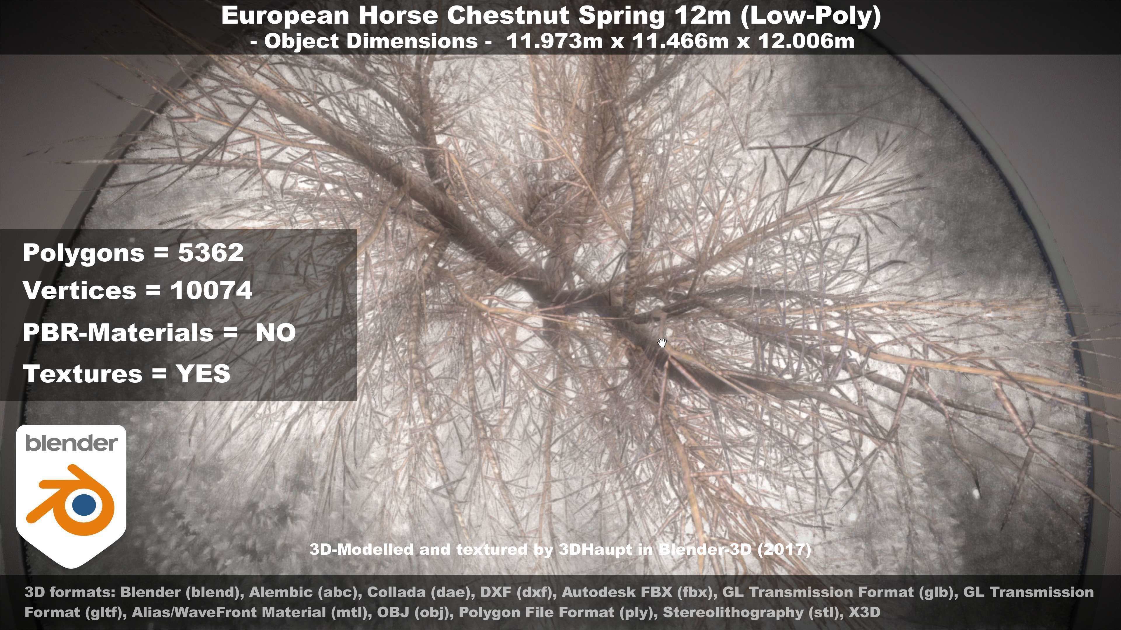 European horse chestnut 12m all seasons 3D Model Collection_91