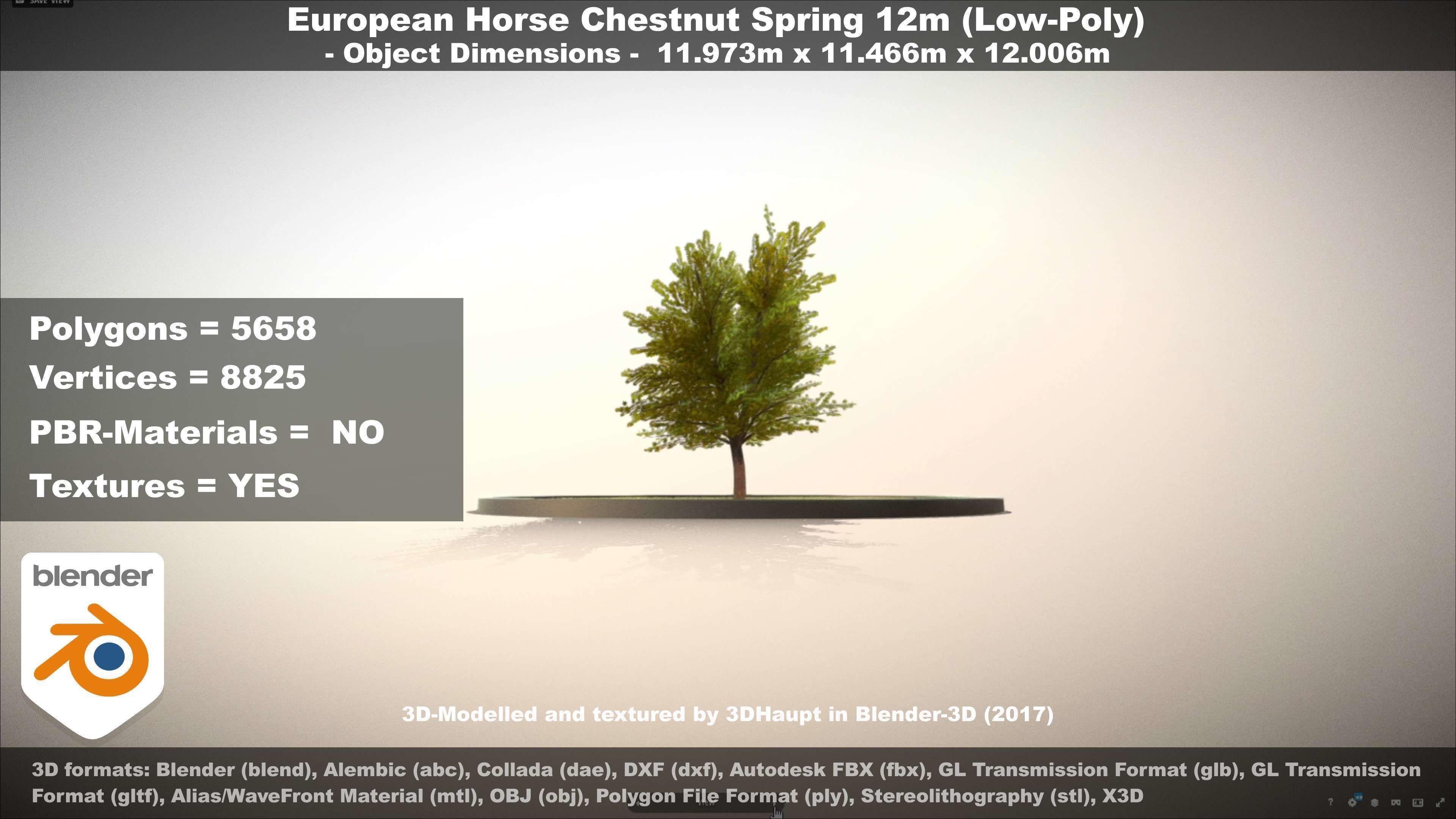 European horse chestnut 12m all seasons 3D Model Collection_60