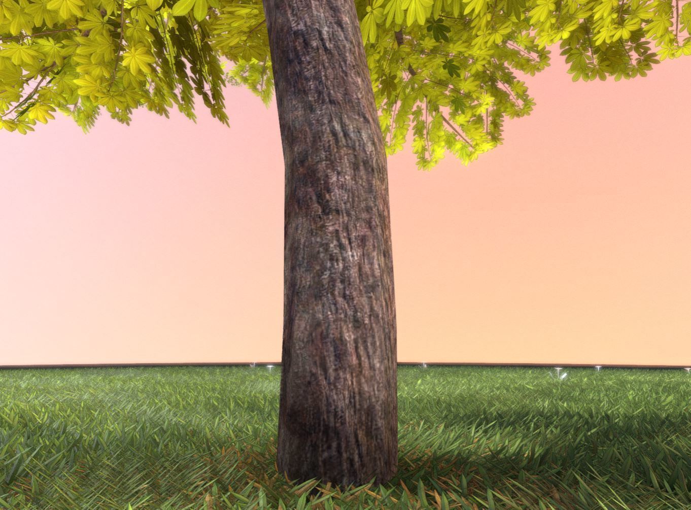 European horse chestnut 12m all seasons 3D Model Collection_24