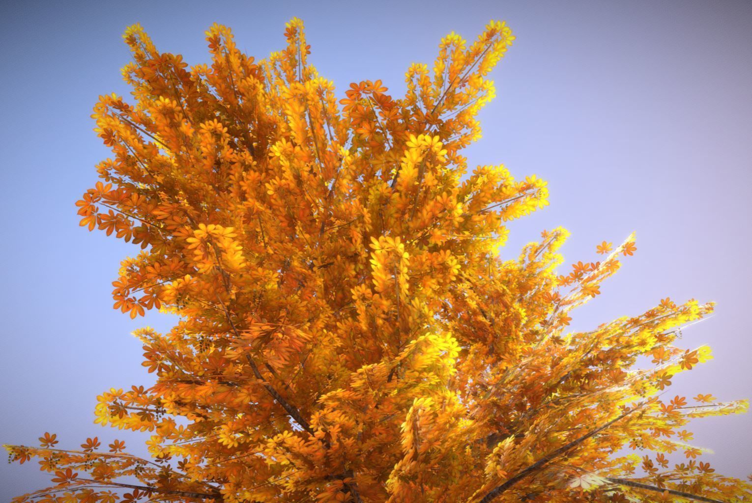 European horse chestnut 12m all seasons 3D Model Collection_11