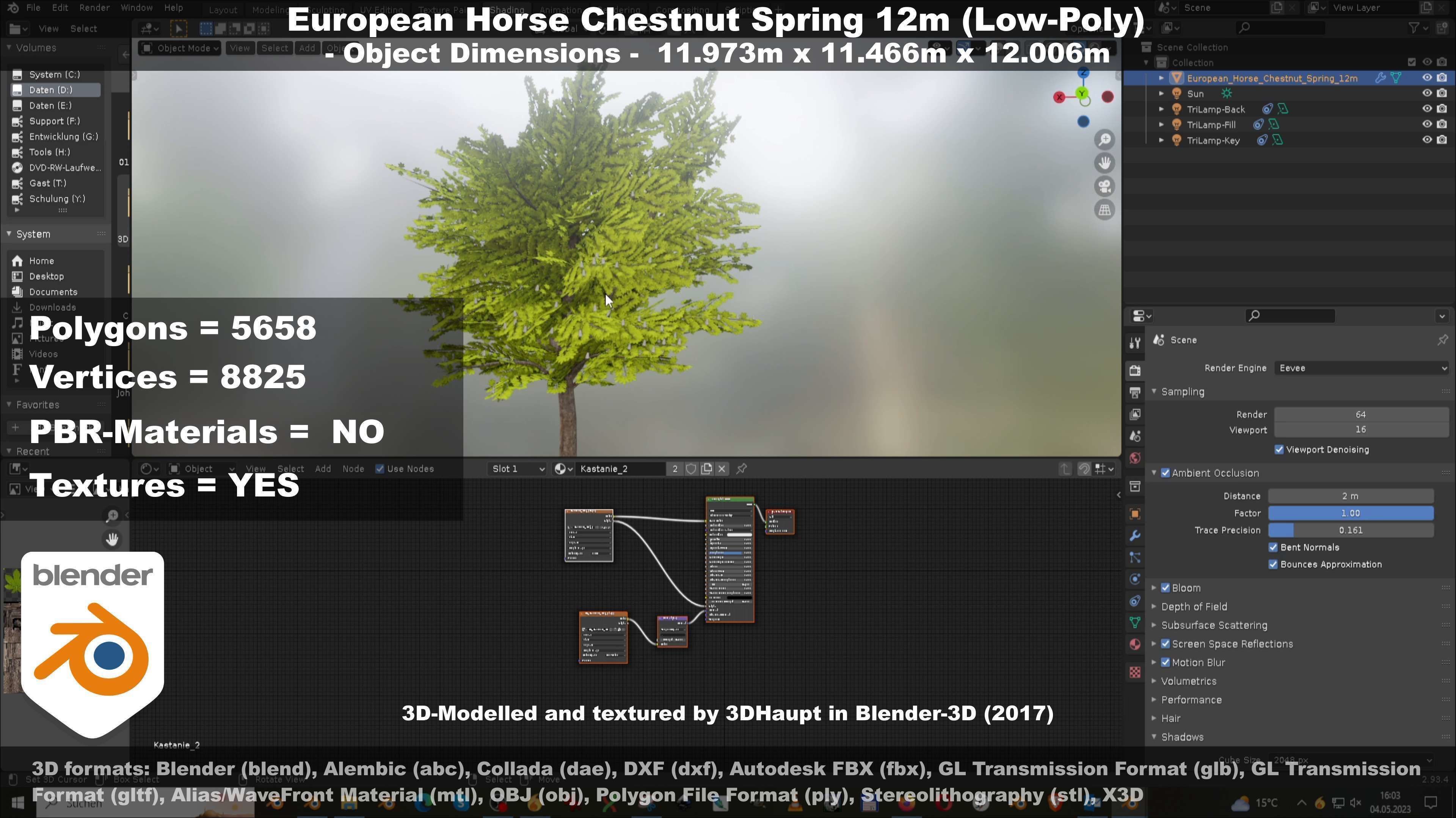 European horse chestnut 12m all seasons 3D Model Collection_55