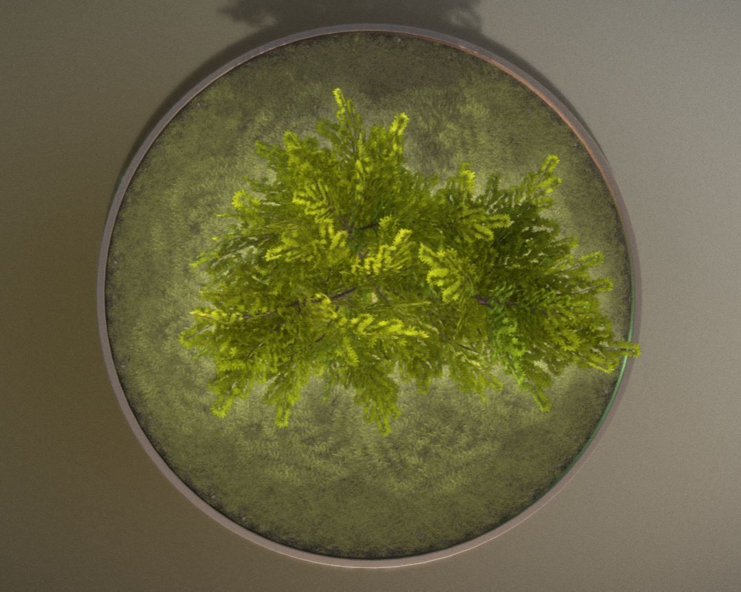 European horse chestnut 12m all seasons 3D Model Collection_21