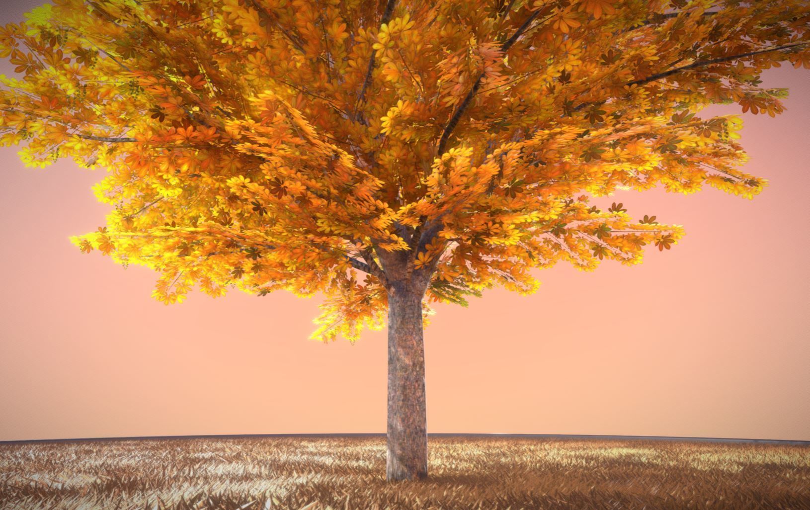 European horse chestnut 12m all seasons 3D Model Collection_12