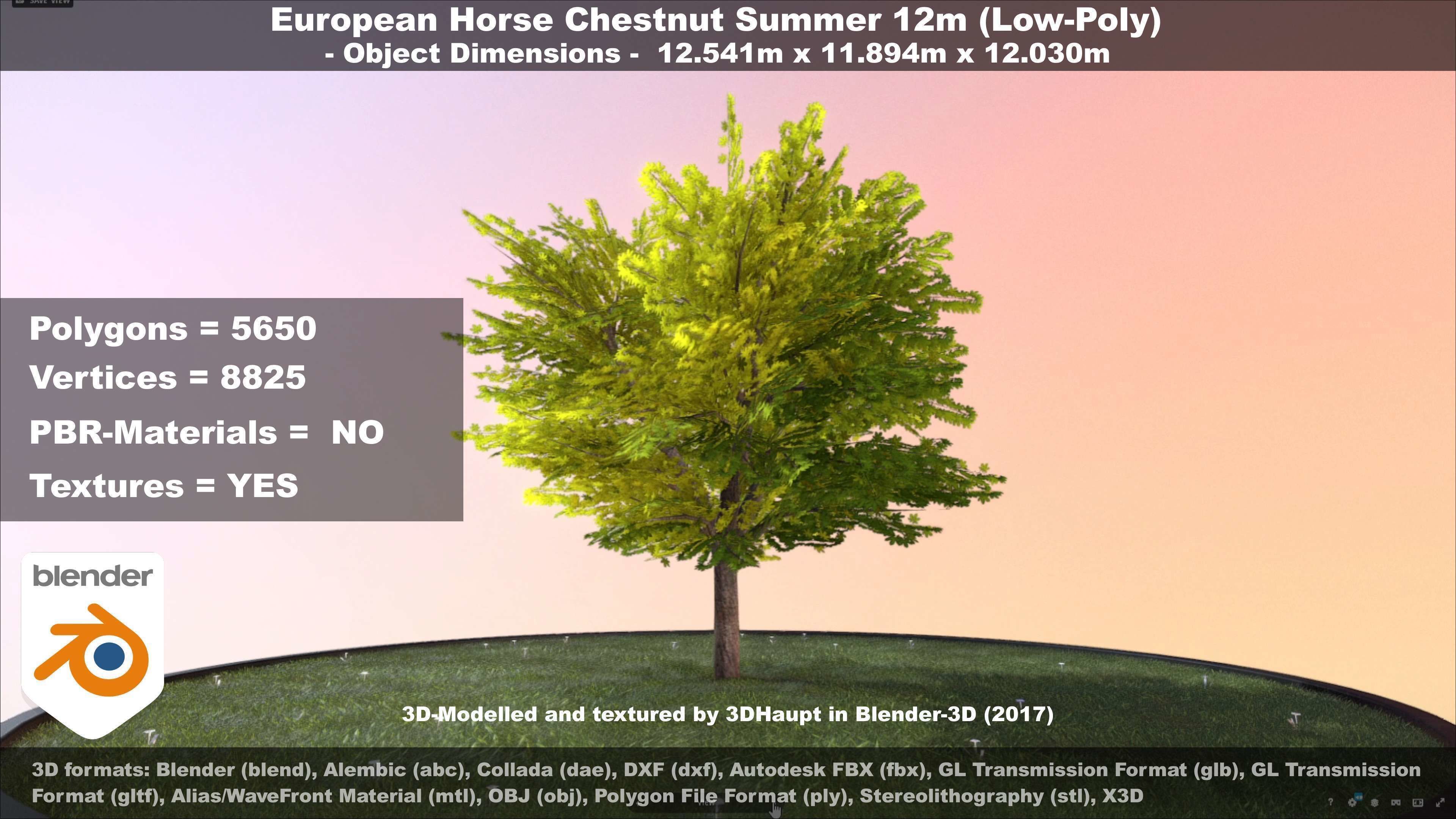 European horse chestnut 12m all seasons 3D Model Collection_74