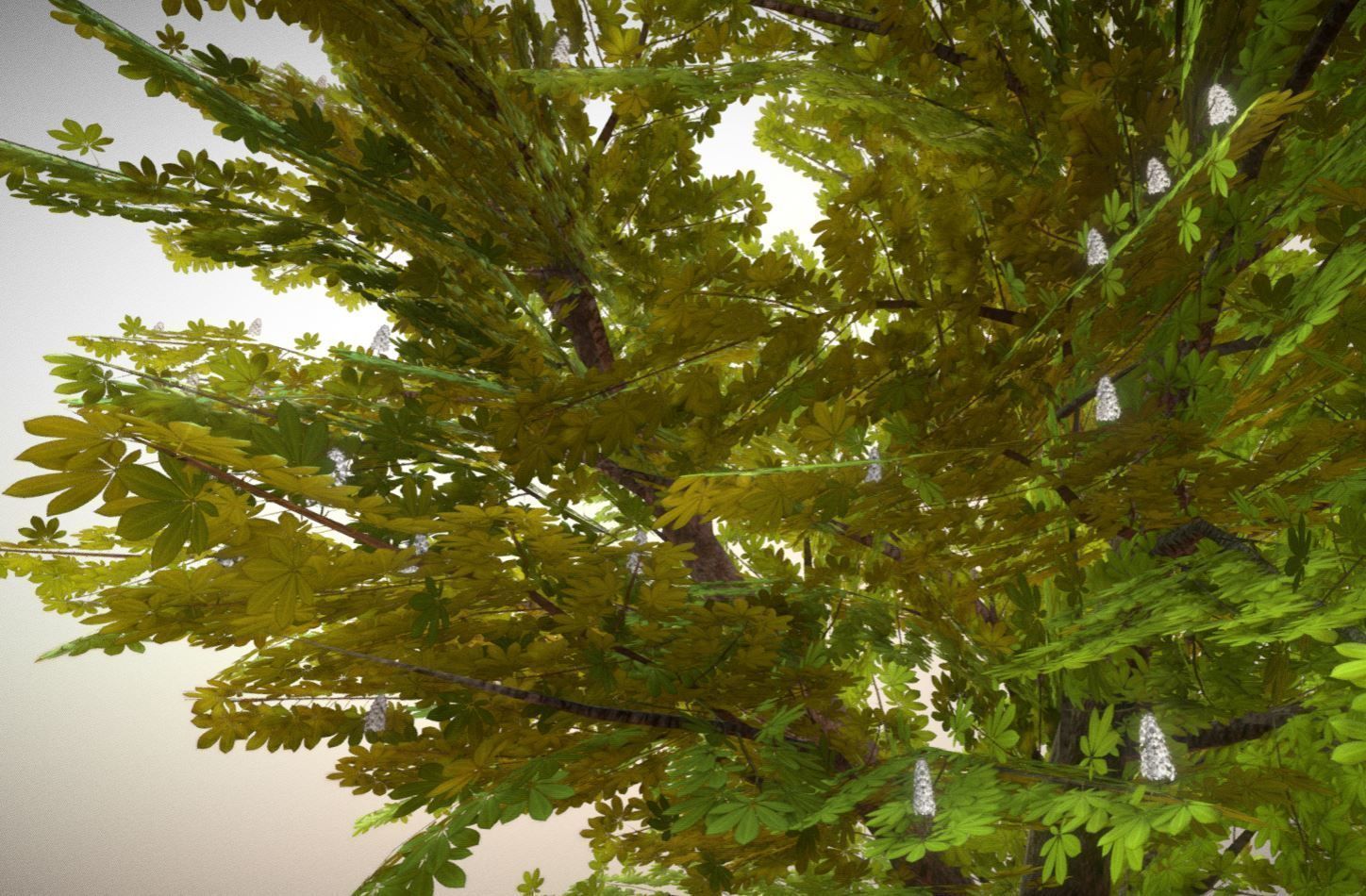 European horse chestnut 12m all seasons 3D Model Collection_22