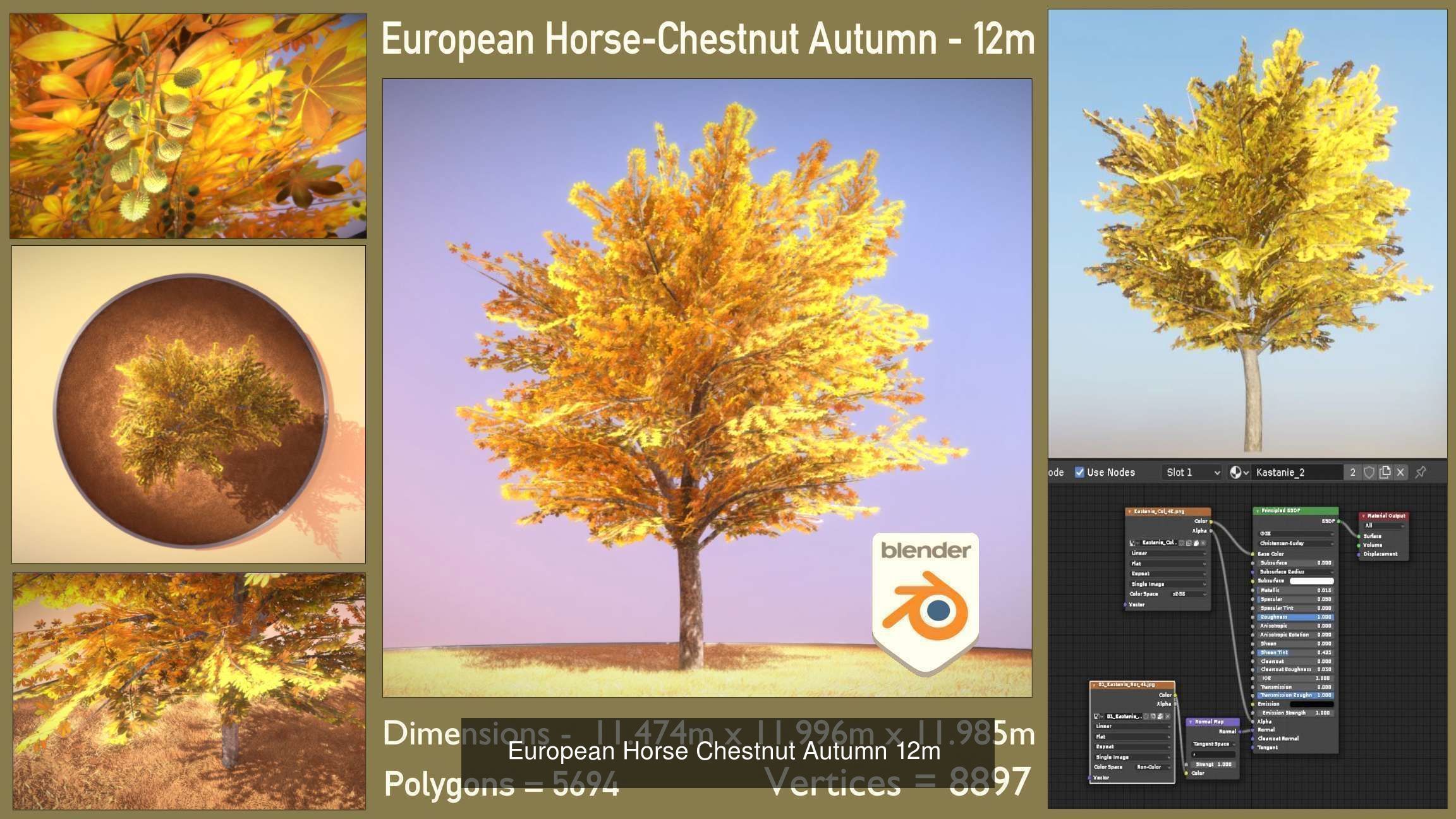 European horse chestnut 12m all seasons 3D Model Collection_1