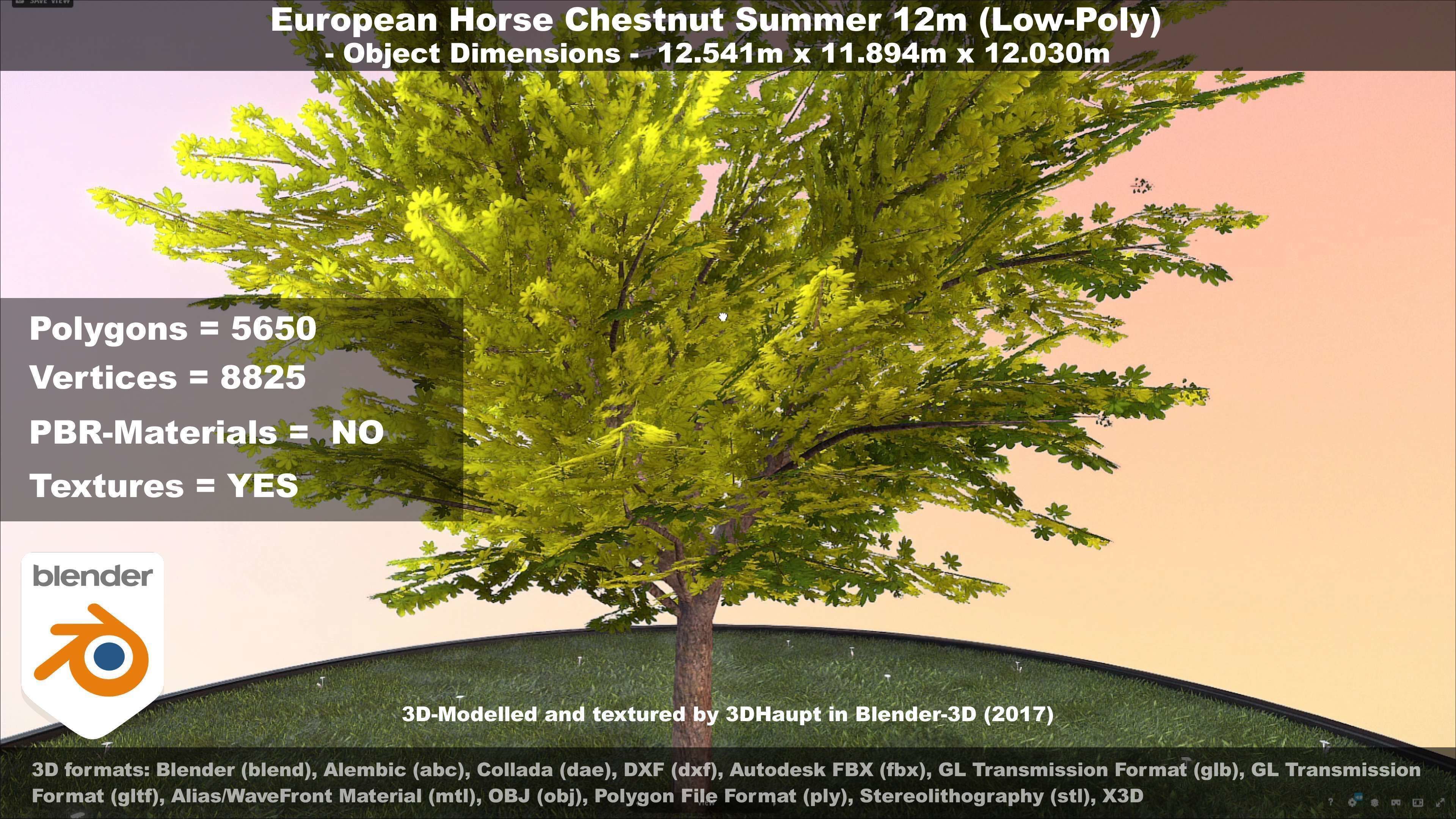 European horse chestnut 12m all seasons 3D Model Collection_80