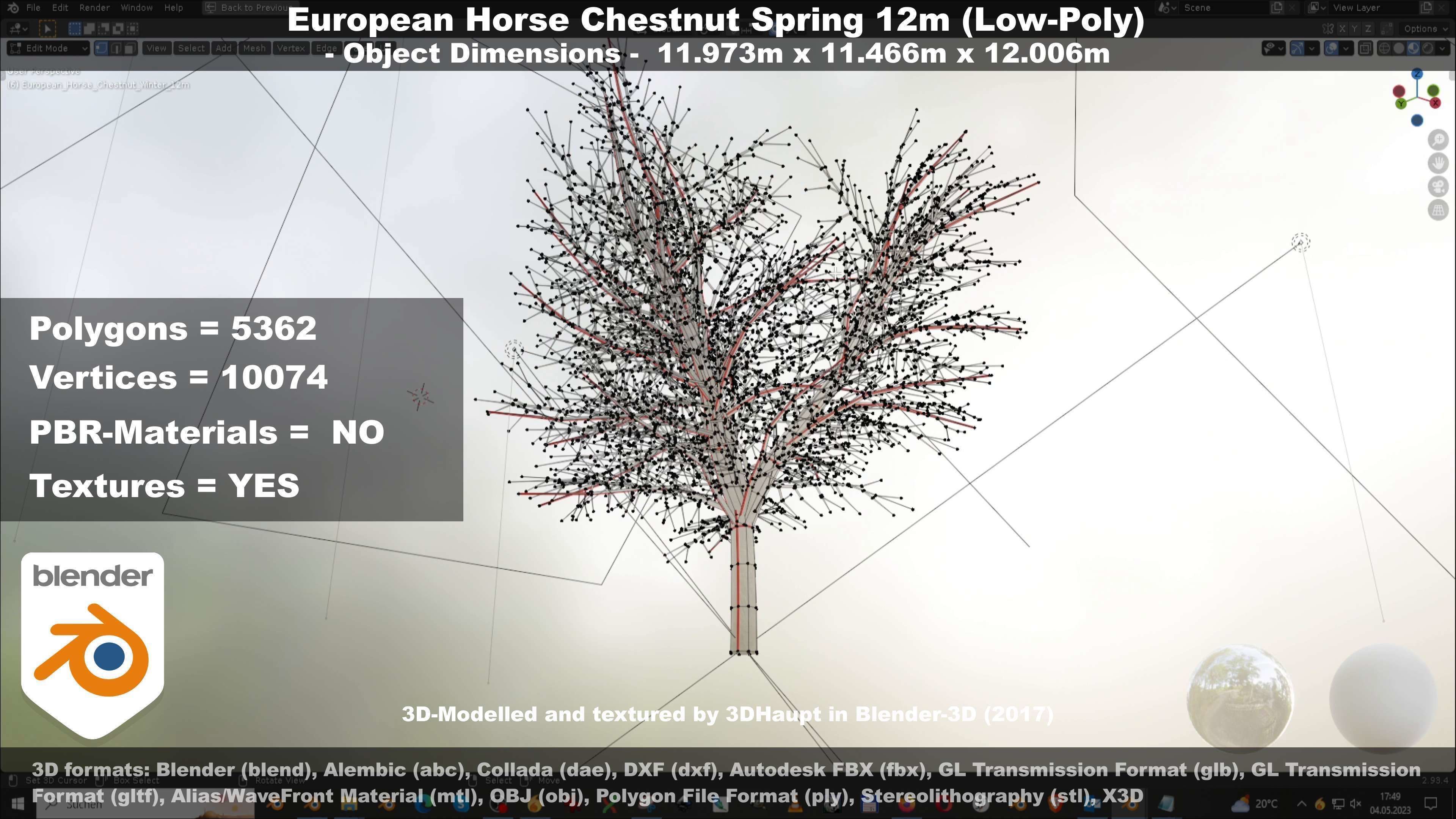 European horse chestnut 12m all seasons 3D Model Collection_83